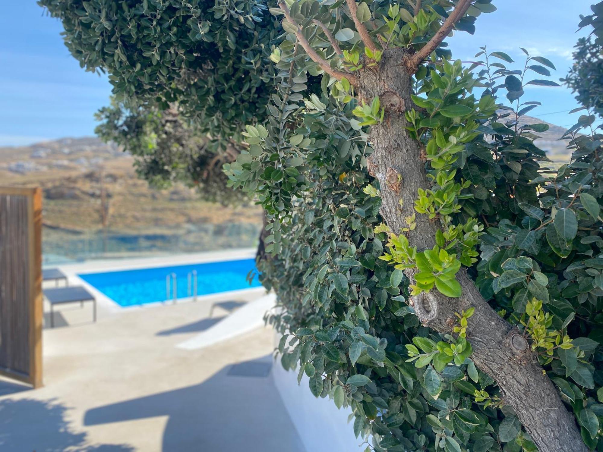 Ftelia Beach Paradise - Villa Irina'S Oasis Exterior photo
